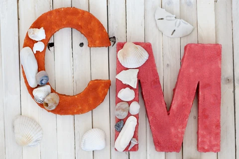Display your seashell collection with a unique colored sand and shell monogram! The perfect way to use up seashells!